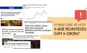 crise cacau blog