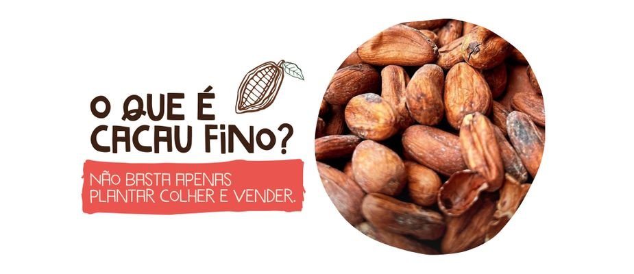 O que é cacau fino?